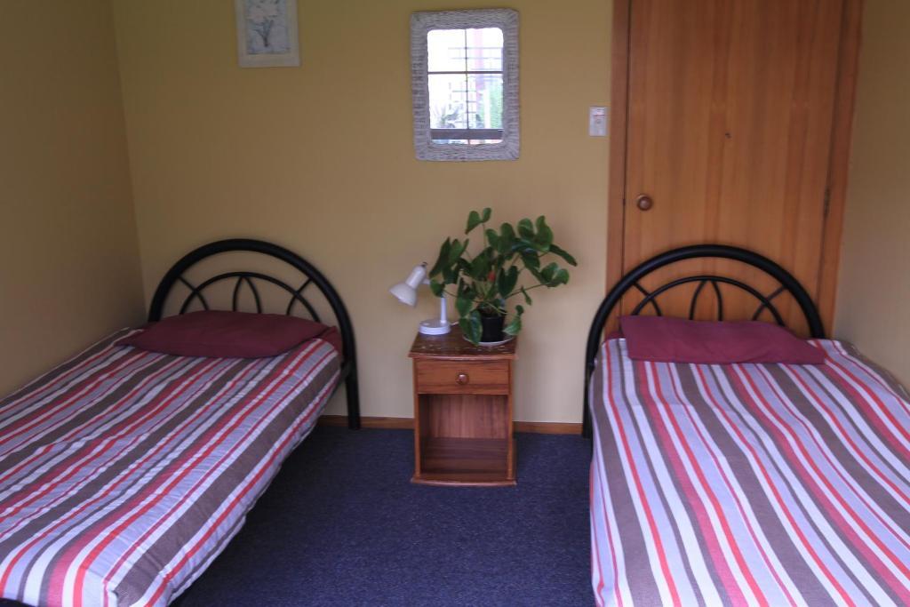 Bazil'S Backpackers Bbh Hostel & Surf School Westport Habitación foto
